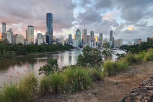Brisbane: Private Brisbane Tour with Stops
