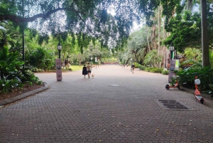 Brisbane: Private Brisbane Tour with Stops