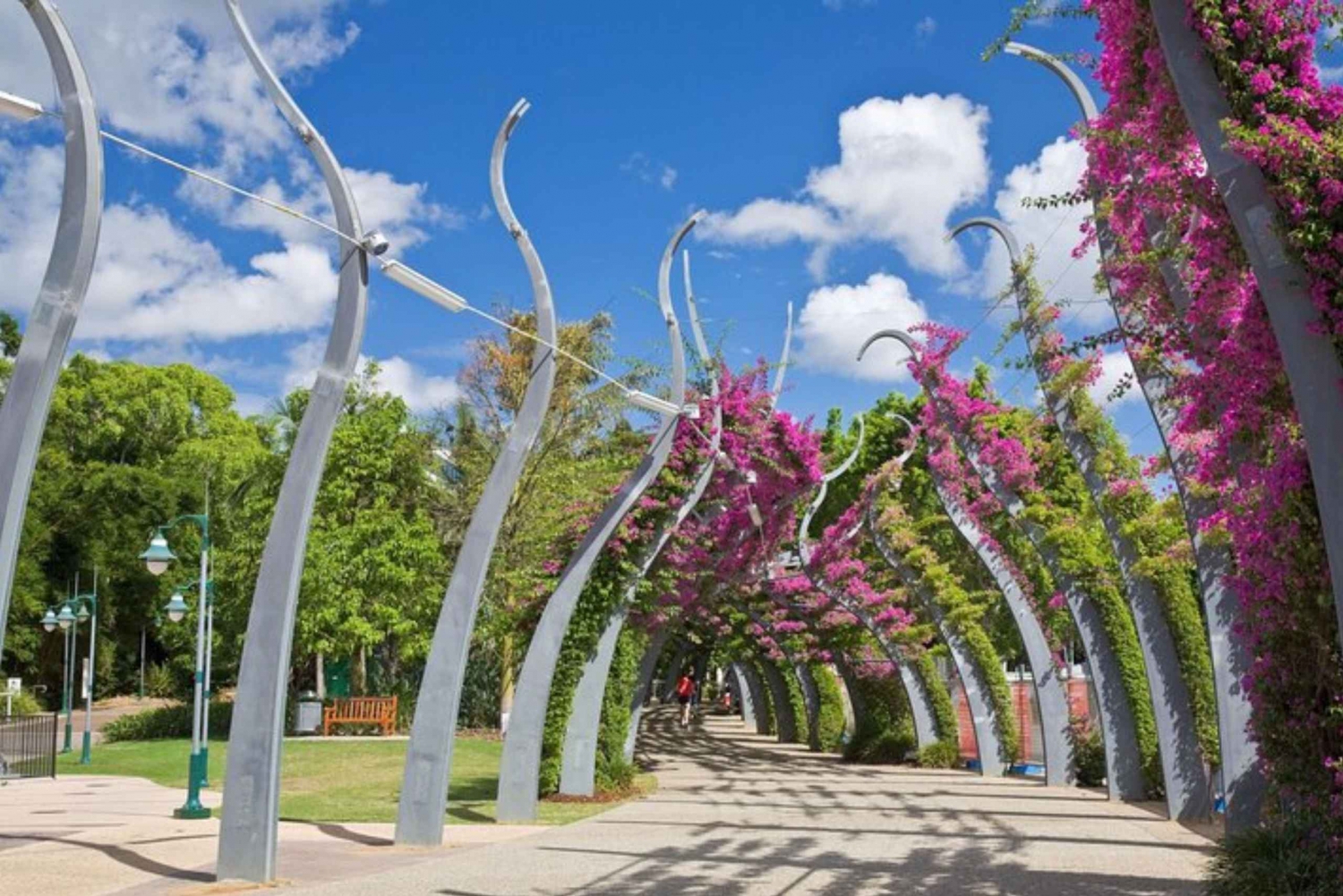 Brisbane: Private custom tour with a local guide