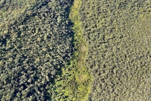 Brisbane: Private Flight with Straddie Brewing Co Tasting