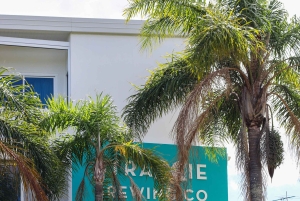 Brisbane: Private Flight with Straddie Brewing Co Tasting