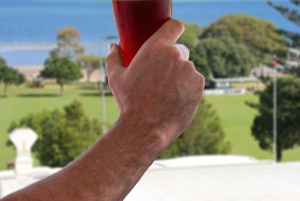 Brisbane: Private Flight with Straddie Brewing Co Tasting