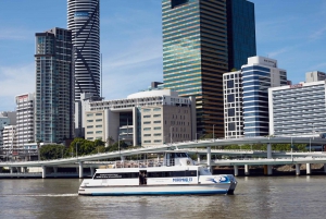Brisbane River Cruise and Koala Sanctuary Visit