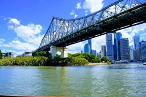 Brisbane: Sightseeing River Cruise with Morning Tea