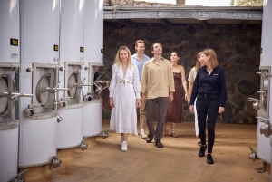 Brisbane: Sirromet Winery Tour with Tasting & 2-Course Lunch