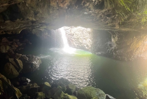 Brisbane: Springbrook and Mt Tamborine Glow Worm and Skywalk