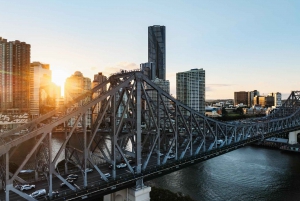 Brisbane: Story Bridge Adventure Climb