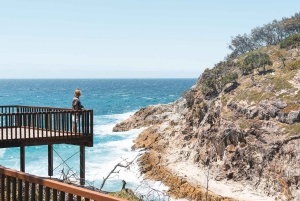 Brisbane: Stradbroke Island Eco Tour - Small Group, Full Day