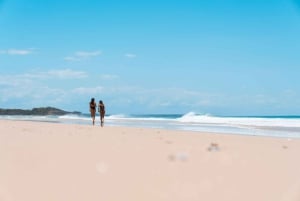Brisbane: Stradbroke Island Eco Tour - Small Group, Full Day