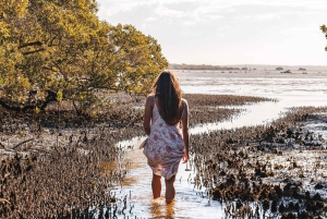 Brisbane: Stradbroke Island Eco Tour - Small Group, Full Day