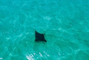 Brisbane: Stradbroke Island Eco Tour - Small Group, Full Day