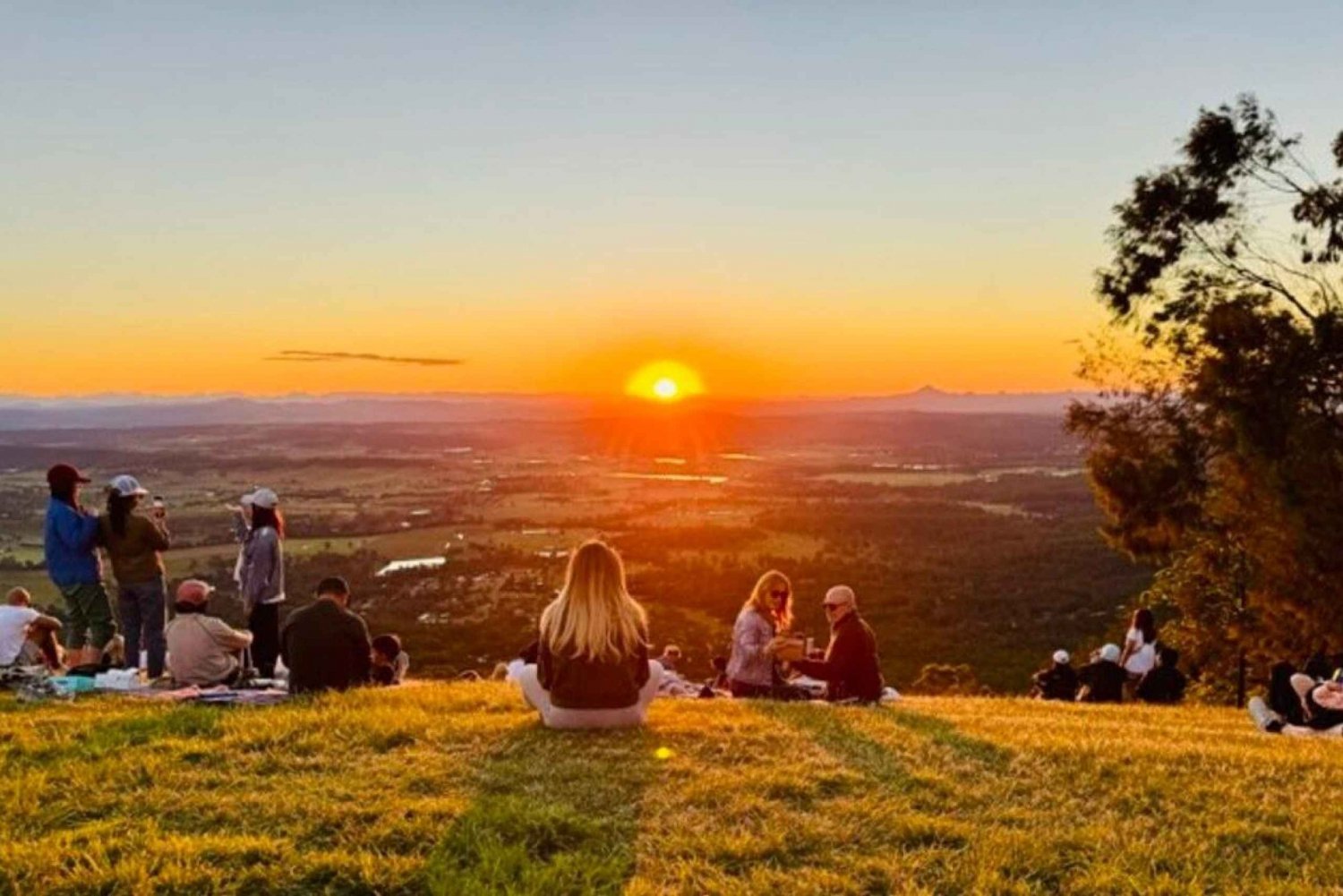 Brisbane: Tamborine Mountain Glow Worms, Star Gazing & BBQ