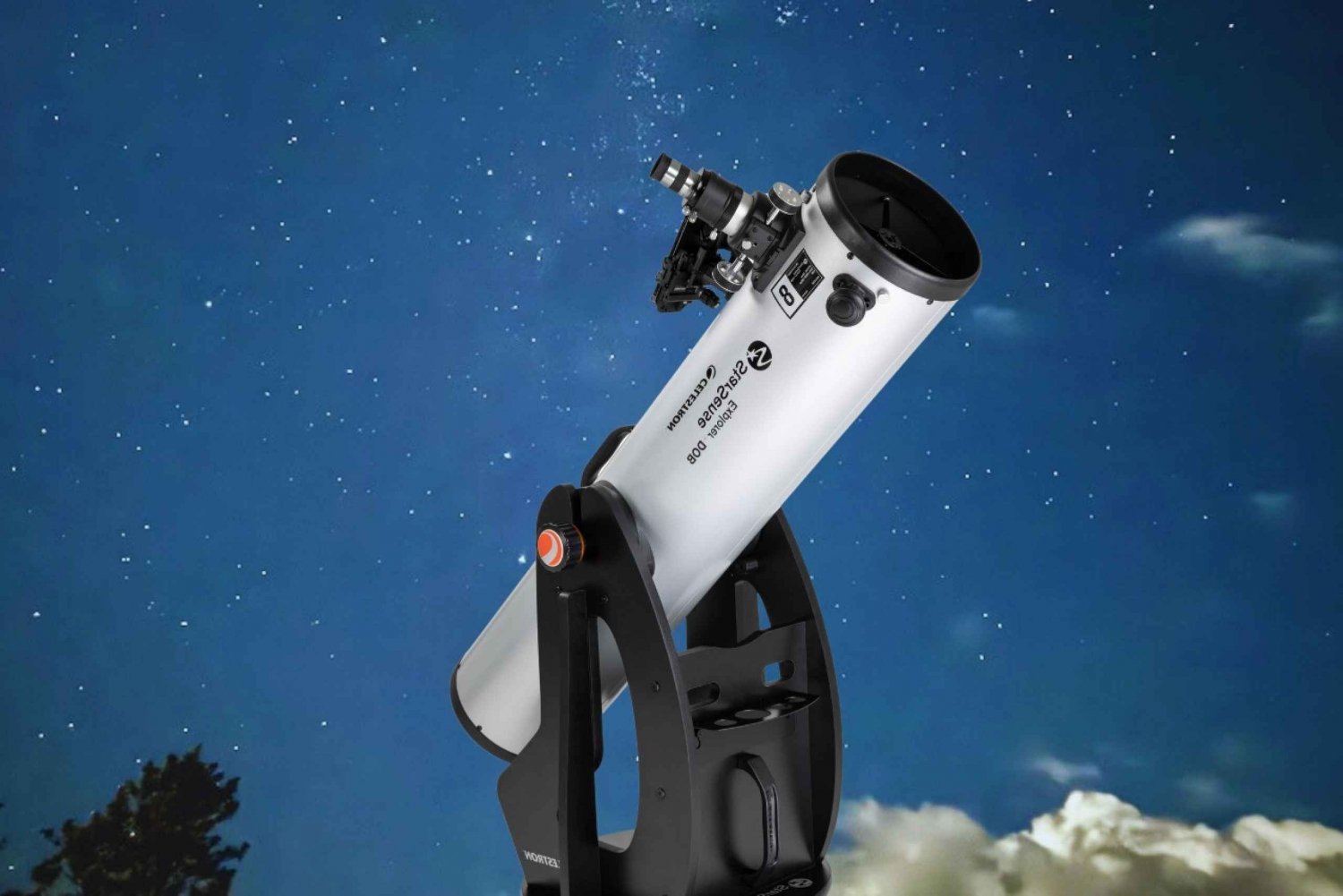 Brisbane: Glow Worms, Sunset, Star Gazing & BBQ