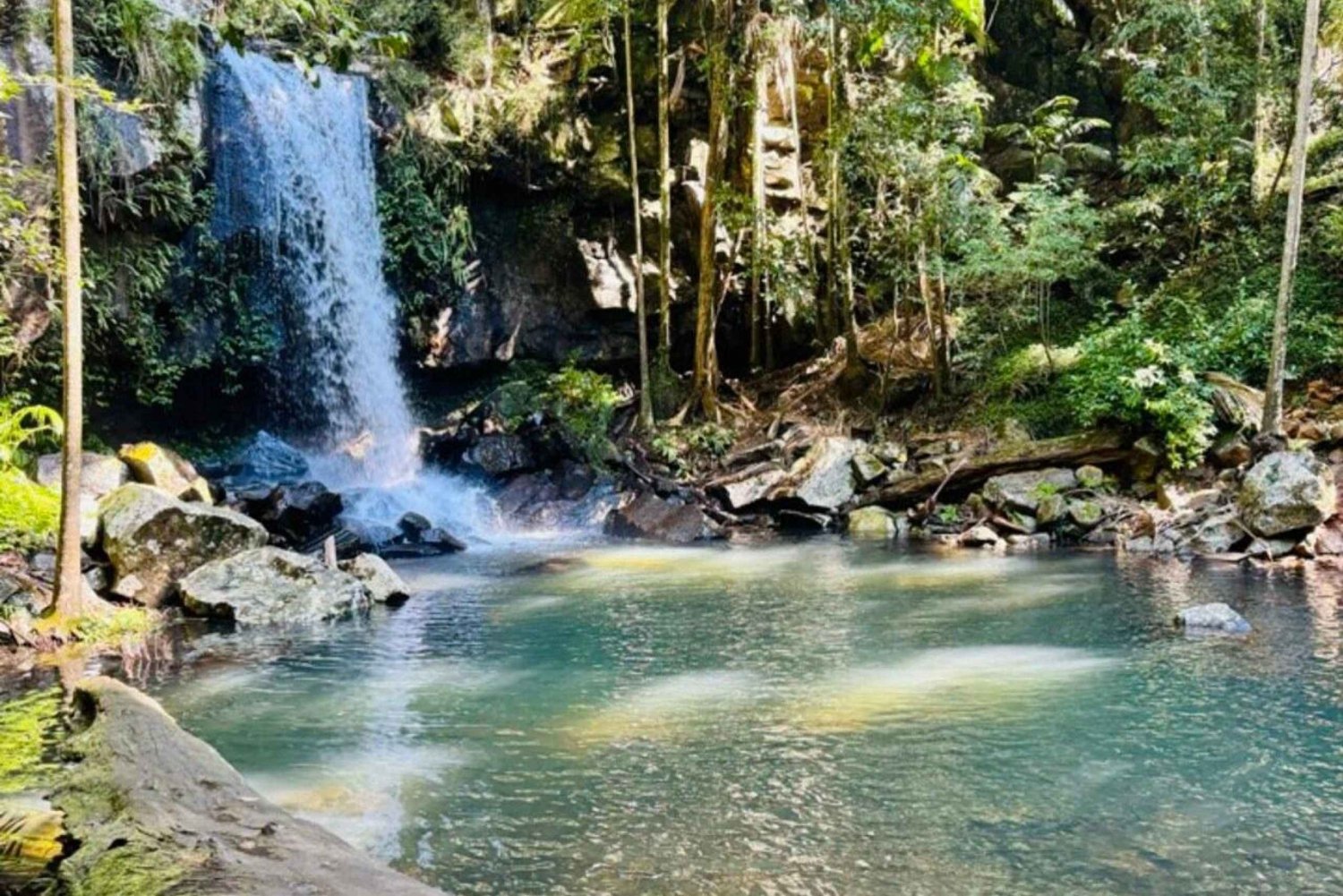 Brisbane: Glow Worms, Sunset, Star Gazing & BBQ