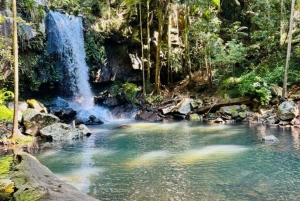 Brisbane: Glow Worms, Sunset, Star Gazing & BBQ