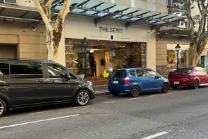 BRISBANE: TANGALOOMA SHUTTLE FROM CBD TO HOLT ST WHARF