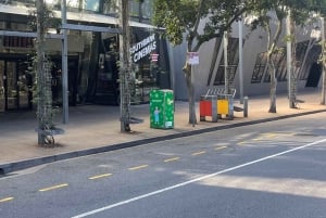 BRISBANE: TANGALOOMA SHUTTLE FROM CBD TO HOLT ST WHARF