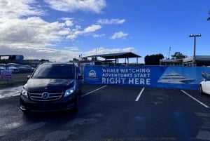 BRISBANE: TANGALOOMA SHUTTLE FROM CBD TO HOLT ST WHARF