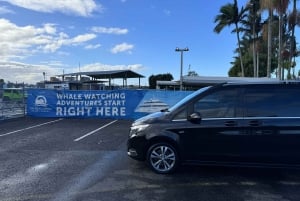 BRISBANE: TANGALOOMA SHUTTLE FROM CBD TO HOLT ST WHARF