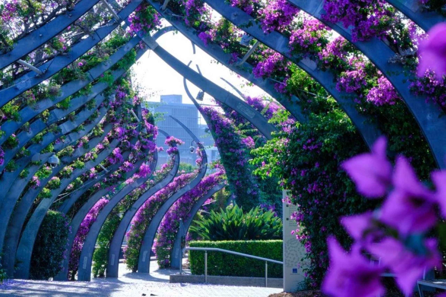 Brisbane, the River City Walking Tour