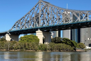 Brisbane, the River City Walking Tour