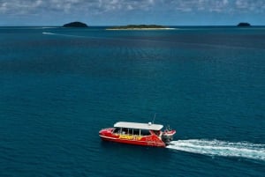 Brisbane to Daintree Whitsundays & Reef 9 Day Comfort Tour