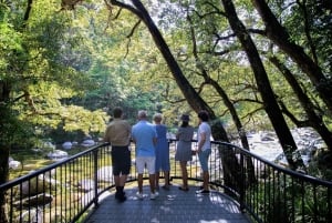 Brisbane to Daintree Whitsundays & Reef 9 Day Comfort Tour