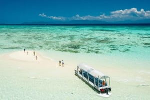 Brisbane to Daintree Whitsundays & Reef 9 Day Comfort Tour