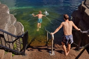 Brisbane to Daintree Whitsundays & Reef 9 Day Comfort Tour