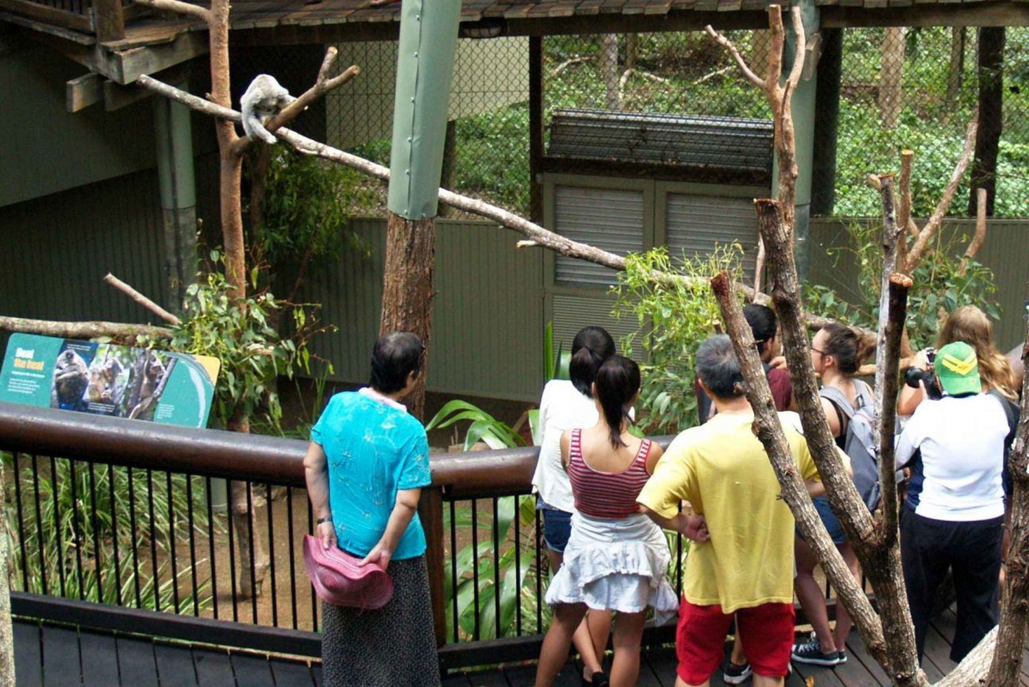 Gold Coast Surfers Paradise Private Tour from Brisbane