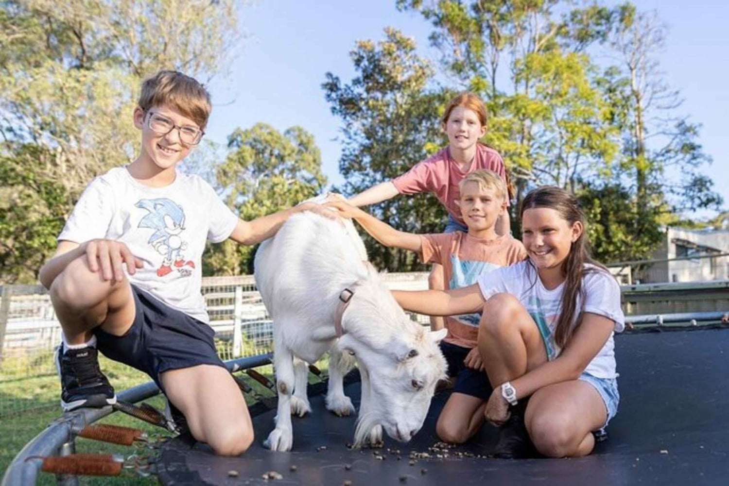 Brisbane: Trevena Glen Farm 1hr Animal Experience
