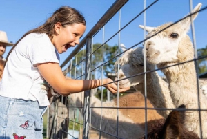 Brisbane: Trevena Glen Farm 1hr Animal Experience