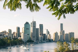 Brisbane Uncovered Walking Tour