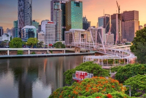 Brisbane Uncovered Walking Tour