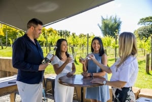 Brisbane: Wine Tasting - Hop on Hop off Tour to Mt Tamborine