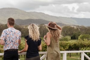 Brisbane: Winery Tour with Tastings and 2-Course Lunch