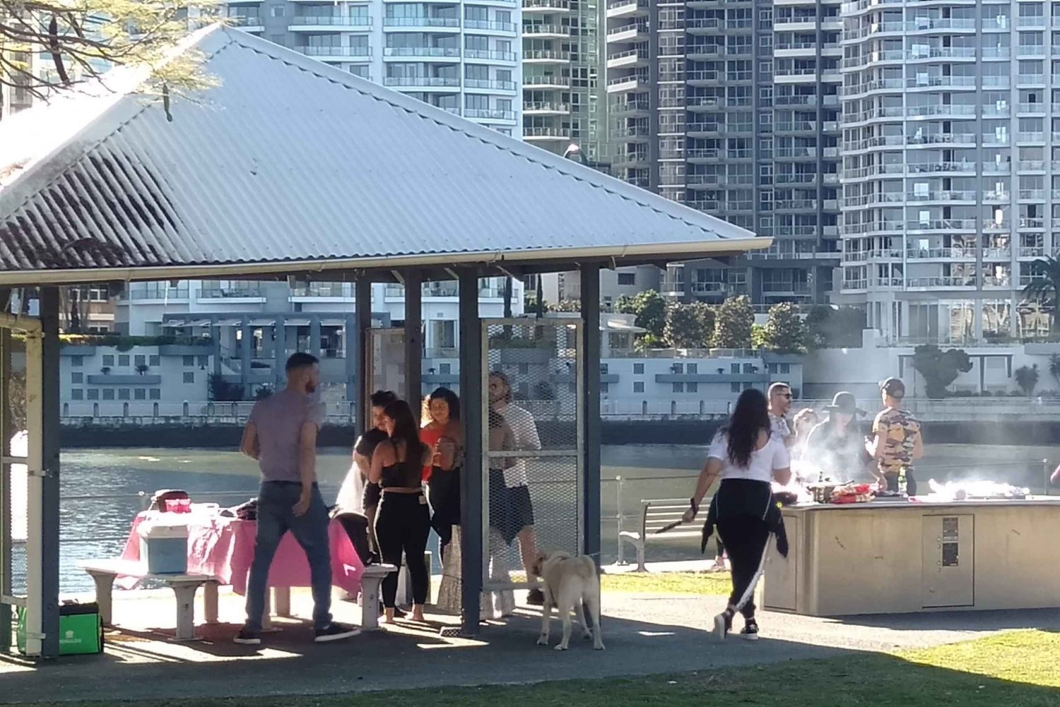 Brisbane's Popular Sights in Half Day VIP Private Tour