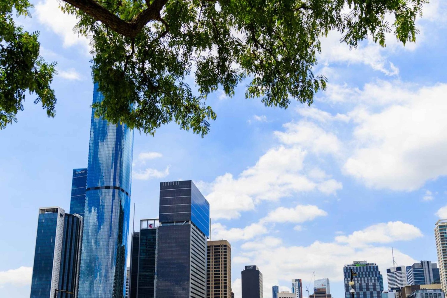 Brisbane's Popular Sights in Half Day VIP Private Tour