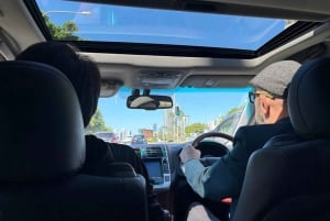 Brisbane's Popular Sights in Half Day VIP Private Tour