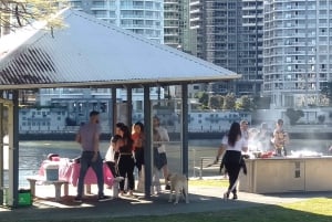 Brisbane's Popular Sights in Half Day VIP Private Tour