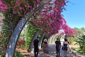 Brisbane's Popular Sights in Half Day VIP Private Tour