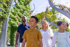 Brisbane's Popular Sights in Half Day VIP Private Tour