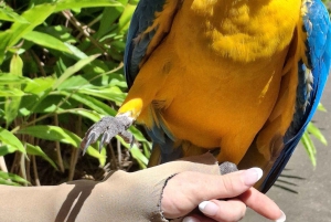 Australia Zoo Backpacker Express: Entry & Transfers