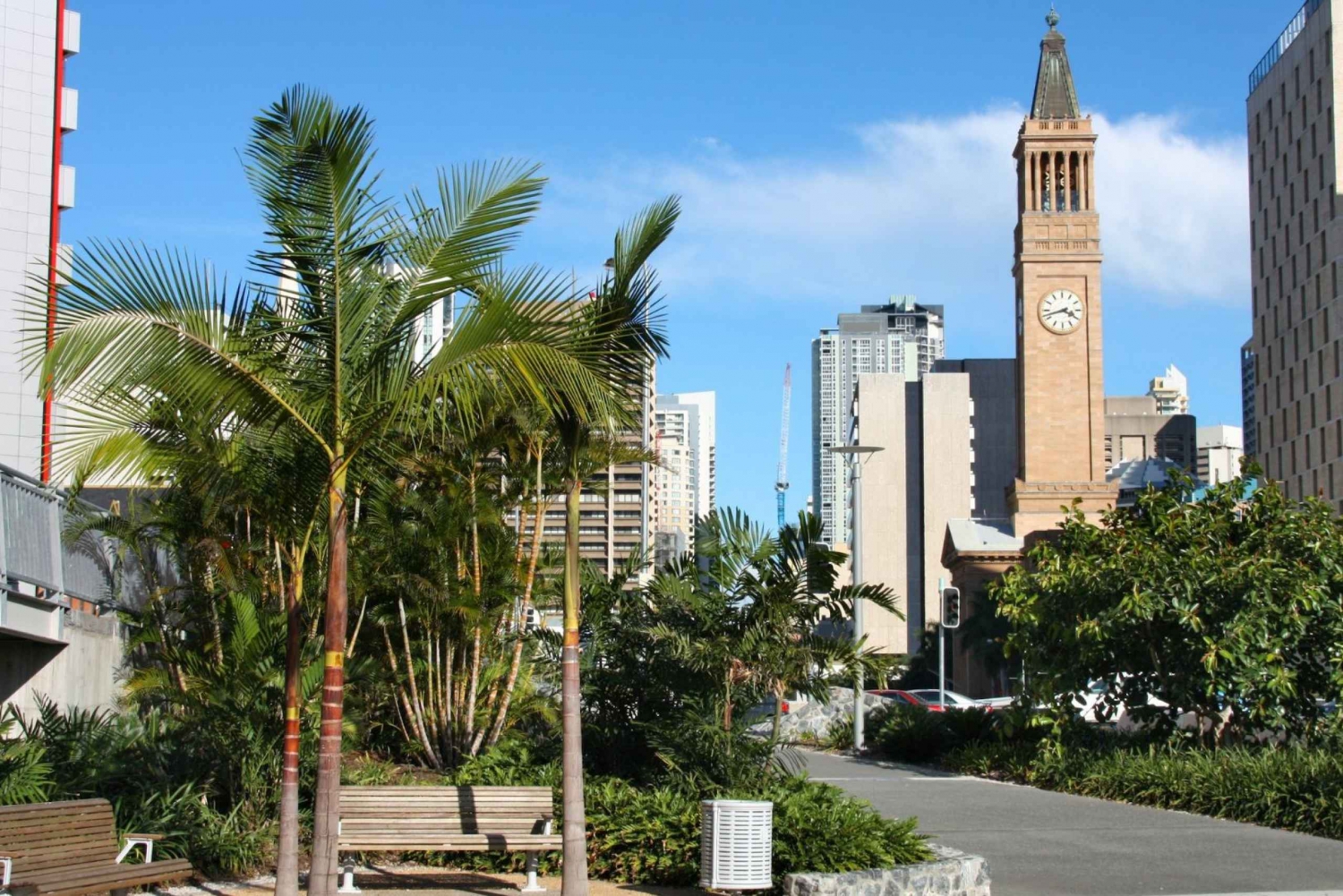 Brisbane: Donuts & Discovery Walking Tour