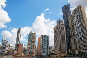 Brisbane: Donuts & Discovery Walking Tour