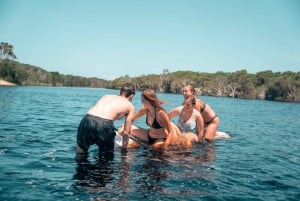 From Brisbane: Bribie Island Day Trip and 4x4 tour