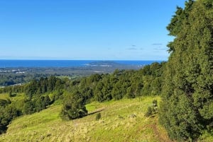 From Brisbane: Byron Bay, Bangalow, and Gold Coast Day Tour