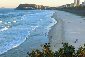 From Brisbane: Byron Bay, Bangalow, and Gold Coast Day Tour
