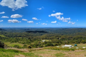 From Brisbane: Noosa & Eumundi Markets Small-Group Day Tour