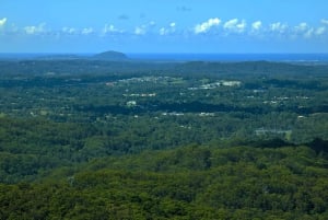 From Brisbane: Noosa & Eumundi Markets Small-Group Day Tour